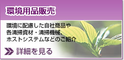 ���p�i�̔�